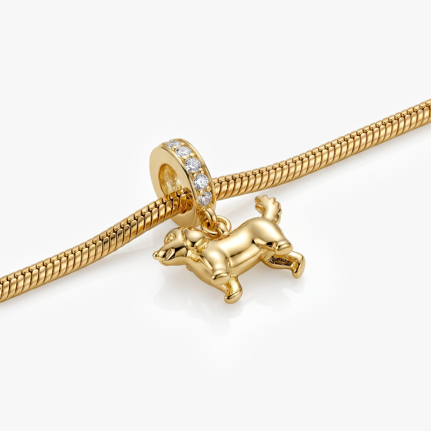 Chien Charm