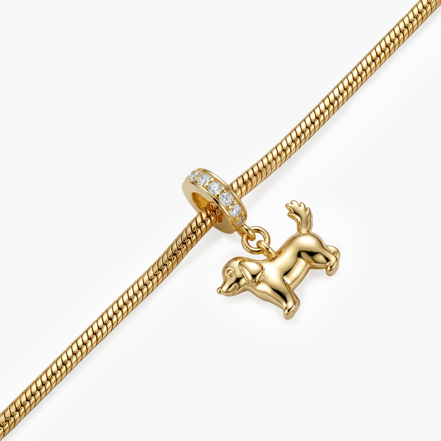 Chien Charm